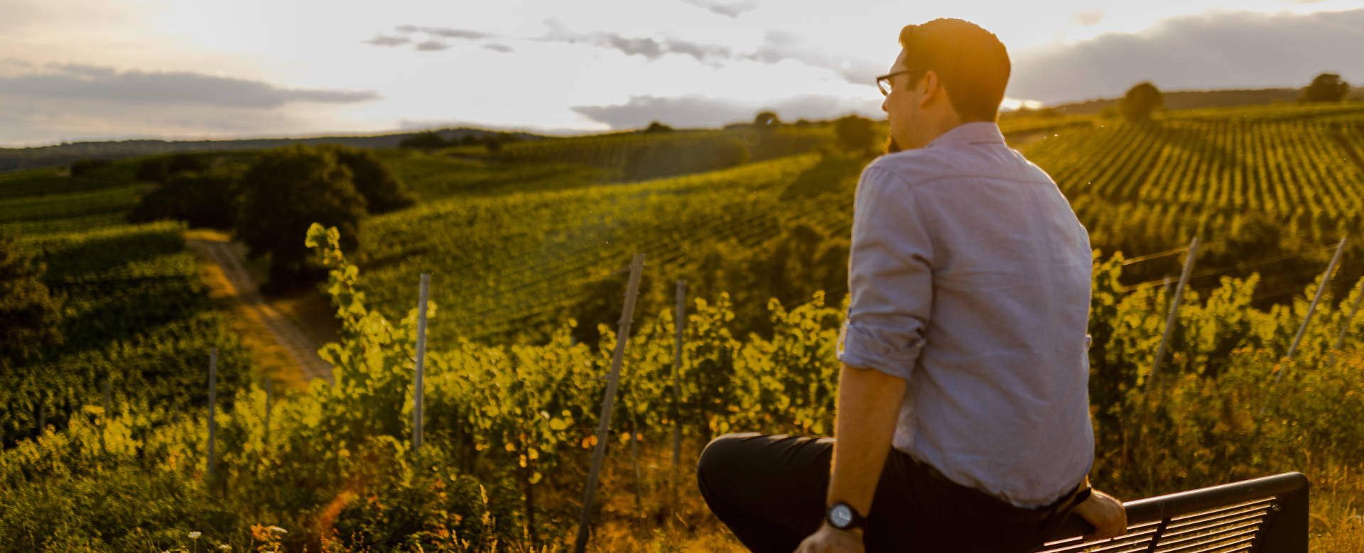 BARTH - Der Rheingau unsere Heimat BARTH - Der Rheingau unsere Heimat